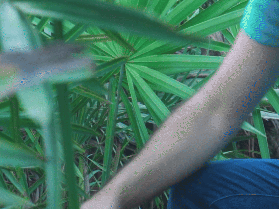 Mô hình Ngọc lục bảo (Emerald) từ Minecraft - Image 2