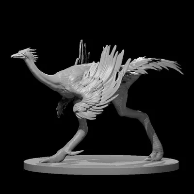 Mô hình War Ostrich (Đà điểu chiến binh)