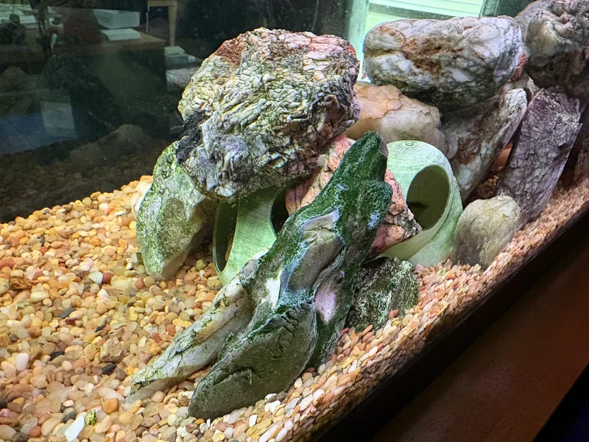 Hang Trú Ẩn Hình Bong Bóng Cho Cá Cảnh - Image 1