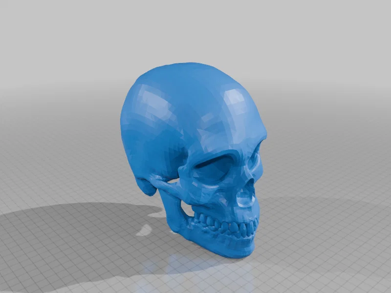 Mô hình hộp sọ người in 3D đẹp và sắc nét - Human Skull - Image 1
