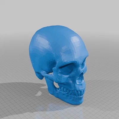 Mô hình hộp sọ người in 3D đẹp và sắc nét - Human Skull