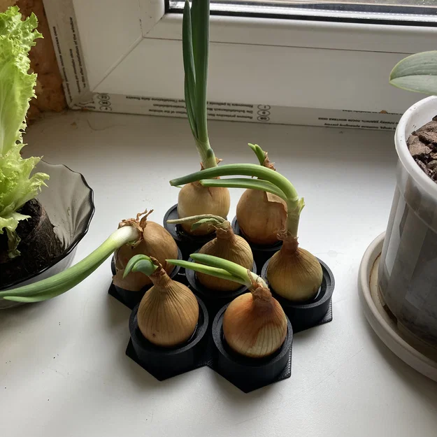 Khay ươm hành lá - Image 1