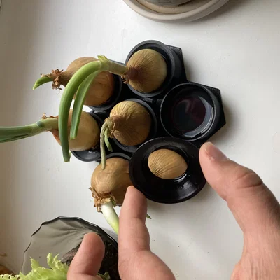 Khay ươm hành lá