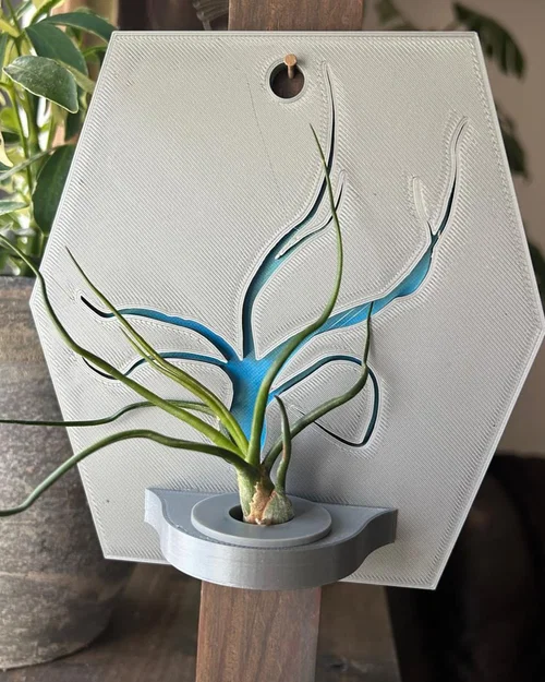 Giá treo cây không khí đa sắc (không cần AMS/MMU) - Image 1