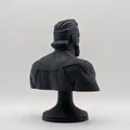 Mô hình tượng bán thân Immortal Bust siêu ngầu cho fan 3D printing - Thumbnail 2
