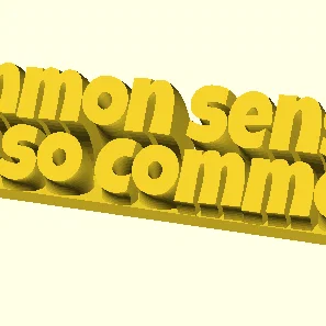 Bảng hiệu trang trí để bàn độc đáo Common Sense Not So Common