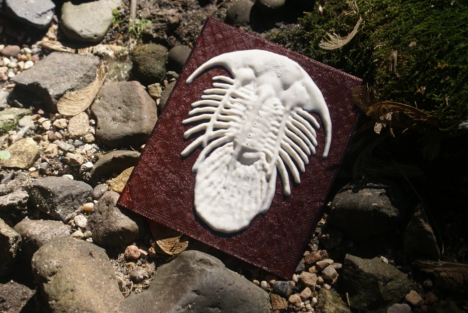 Mô hình hóa thạch Bọ ba thùy Kolihapeltis - Hơn cả một bức tranh Lithophane - Image 1