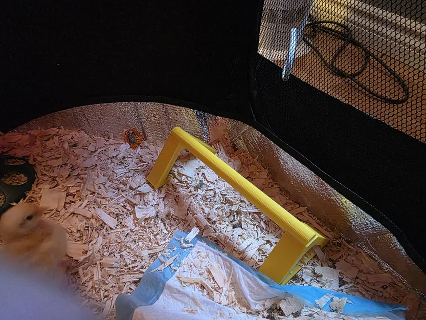 Thanh Đậu Cho Gà Con (Chicken Roost) - Hỗ Trợ Gà Con Tập Đậu 3D - Image 1