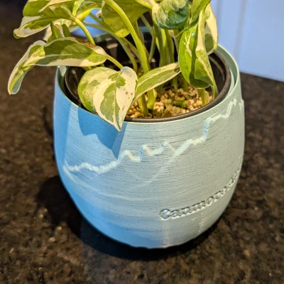 Chậu Cây - Canmore Mountain Panorama