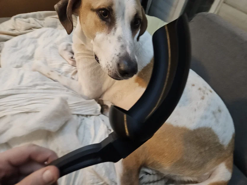 Dụng cụ phóng bóng cho chó cưng - Phiên bản tùy chỉnh vít M3 siêu bền - Image 2