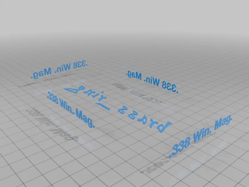 Khay Đựng Đạn .338 Winchester Magnum Cho Người Nạp Đạn - Image 4