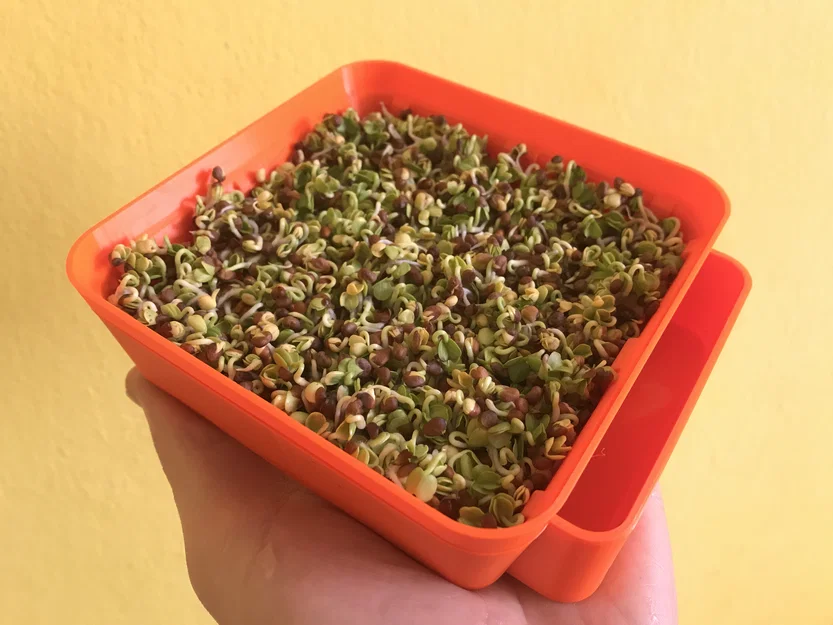 Vườn nhà đa năng (Modular home garden) - Image 7