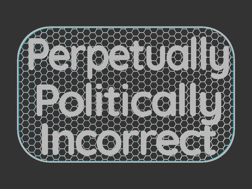 Biển báo Politically Incorrect - Image 3