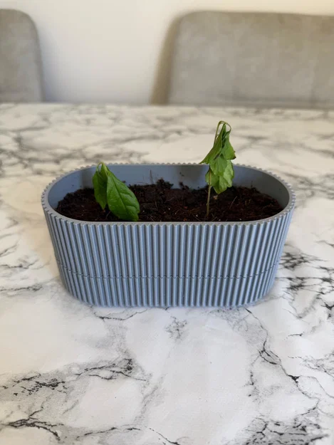 Chậu cây nhỏ (Small Plant Pot) - Image 3