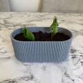 Chậu cây nhỏ (Small Plant Pot) - Thumbnail 3