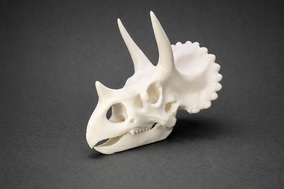 Sọ Triceratops – Mô hình trang trí hình đầu khủng long - Image 1
