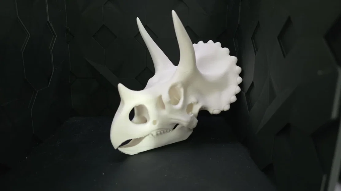 Sọ Triceratops – Mô hình trang trí hình đầu khủng long - Image 2