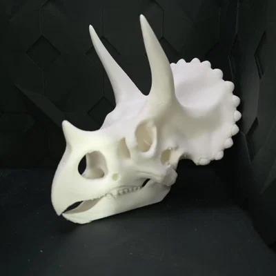 Sọ Triceratops – Mô hình trang trí hình đầu khủng long
