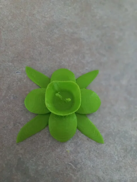 Mô hình 3D hoa xuân (Spring Flower) tinh tế trang trí - Image 3