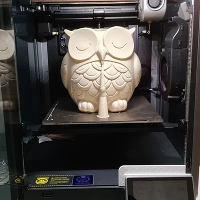 BÌNH HOA CÚ (OWL VASE)