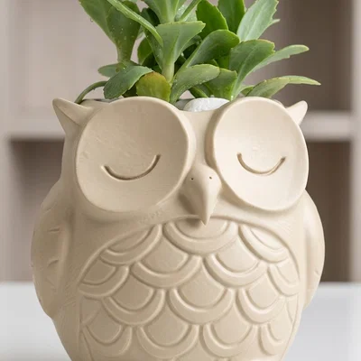 BÌNH HOA CÚ (OWL VASE)