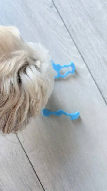 Phụ kiện in 3D hỗ trợ cầm nắm khi dắt thú cưng đi dạo tiện lợi - Image 2