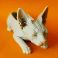 Khay đựng tiền xu trang trí hình mèo Sphynx - Thumbnail 3
