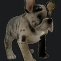 Mô hình chú chó Bulldog Pháp dễ thương (Cute French Bulldog) in 3D - Thumbnail 1