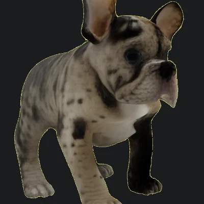 Mô hình chú chó Bulldog Pháp dễ thương (Cute French Bulldog) in 3D