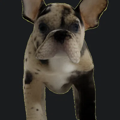 Mô hình chú chó Bulldog Pháp dễ thương (Cute French Bulldog) in 3D