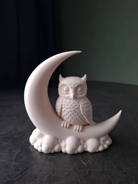 Chú Cú Dễ Thương Trên Vầng Trăng Khuyết - Image 1