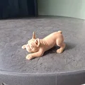 Mô hình chú cún French Bulldog tinh nghịch - Thumbnail 3