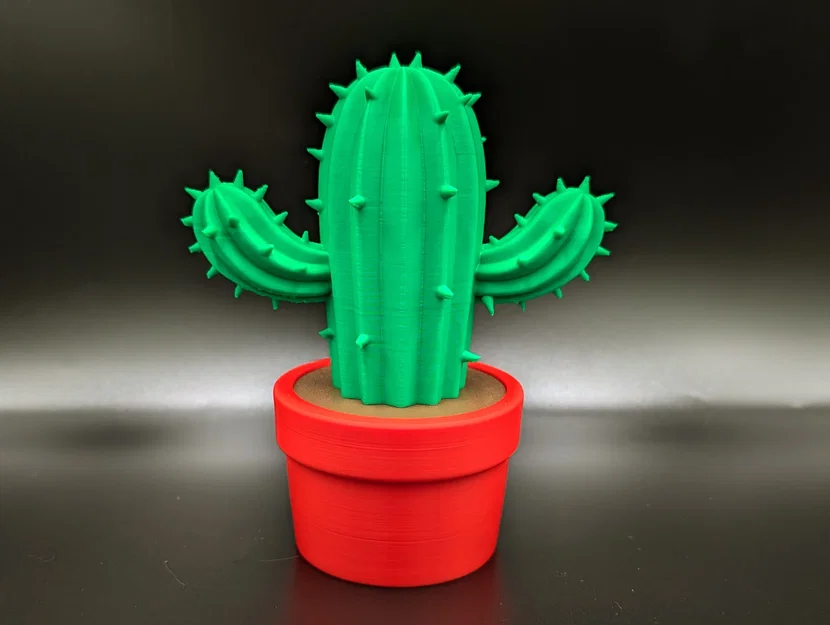 Mô hình Xương rồng để bàn - Không cần AMS - Image 6