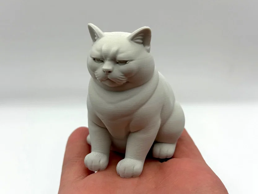 Mô hình 3D chú mèo "Không Hài Lòng" (Not Amused Cat) - Image 1