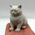 Mô hình 3D chú mèo "Không Hài Lòng" (Not Amused Cat) - Thumbnail 1