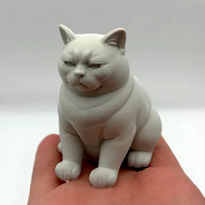 Mô hình 3D chú mèo "Không Hài Lòng" (Not Amused Cat)