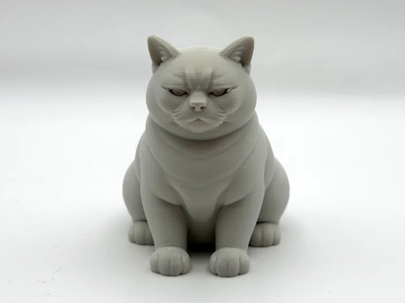 Mô hình 3D chú mèo "Không Hài Lòng" (Not Amused Cat) - Image 2