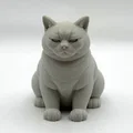 Mô hình 3D chú mèo "Không Hài Lòng" (Not Amused Cat) - Thumbnail 2