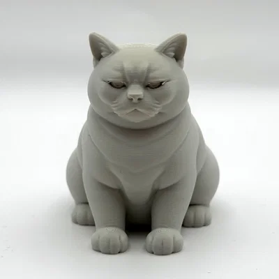 Mô hình 3D chú mèo "Không Hài Lòng" (Not Amused Cat)
