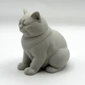 Mô hình 3D chú mèo "Không Hài Lòng" (Not Amused Cat) - Thumbnail 4