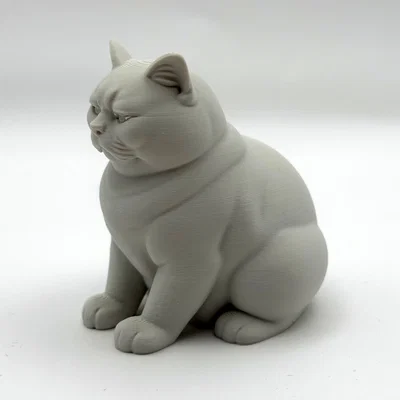 Mô hình 3D chú mèo "Không Hài Lòng" (Not Amused Cat)