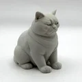 Mô hình 3D chú mèo "Không Hài Lòng" (Not Amused Cat) - Thumbnail 5