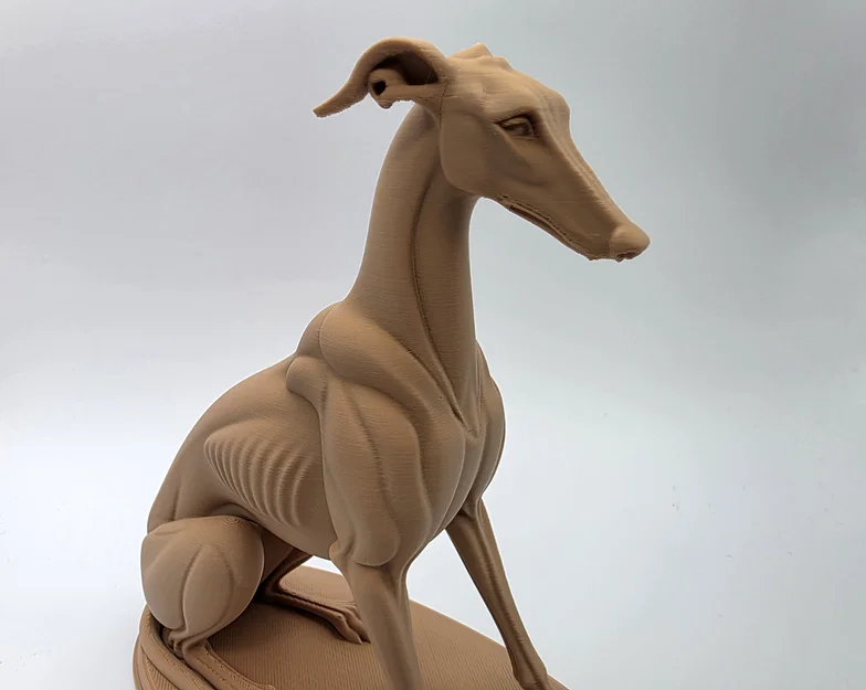 The Sentinel - Tượng Chú Chó Greyhound Ngồi - Image 3
