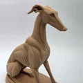 The Sentinel - Tượng Chú Chó Greyhound Ngồi - Thumbnail 3