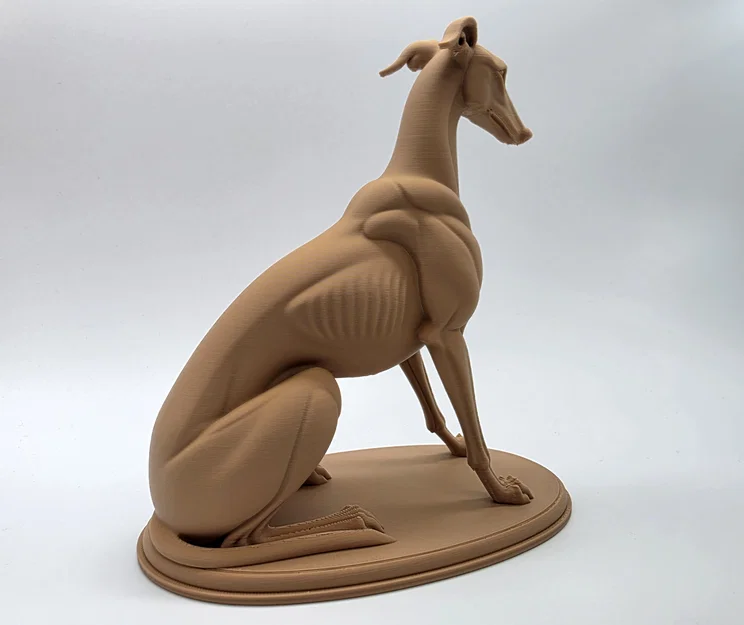 The Sentinel - Tượng Chú Chó Greyhound Ngồi - Image 5
