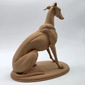 The Sentinel - Tượng Chú Chó Greyhound Ngồi - Thumbnail 5