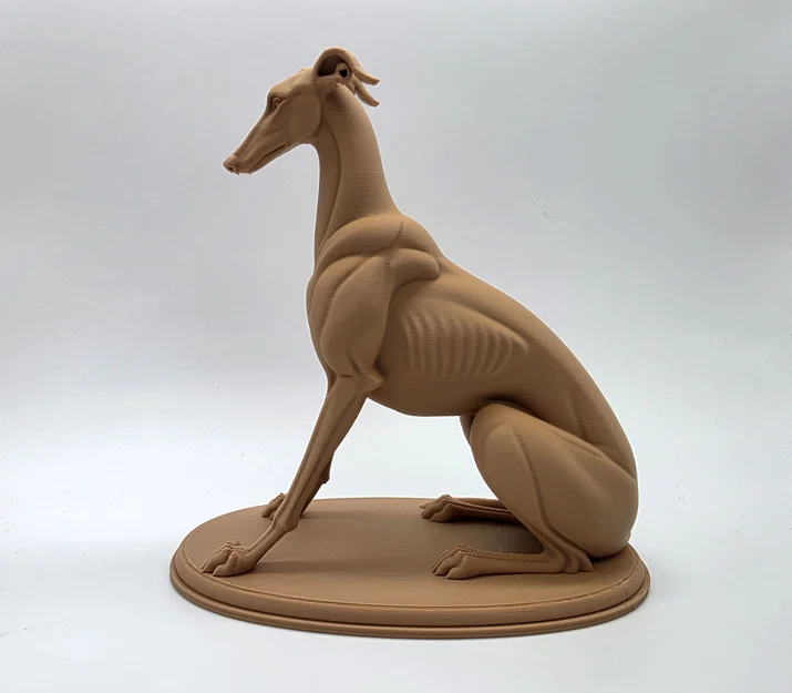 The Sentinel - Tượng Chú Chó Greyhound Ngồi - Image 7