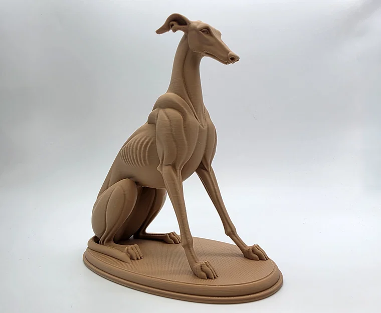 The Sentinel - Tượng Chú Chó Greyhound Ngồi - Image 8