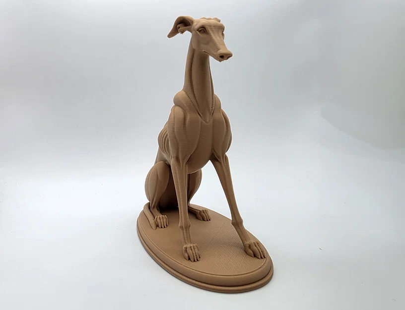 The Sentinel - Tượng Chú Chó Greyhound Ngồi - Image 9