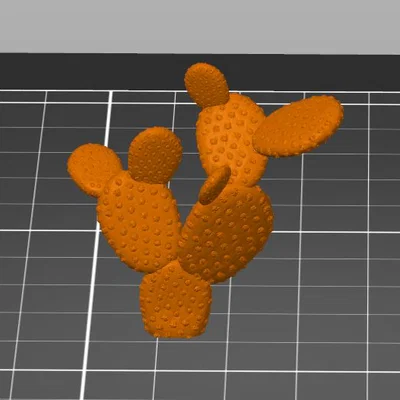 Cactus - Bản mở rộng cho bộ 3D Nature Set trong Clash for Eternia